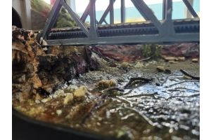 Workshop - Rocks, River & Roads - Part 1