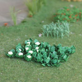 All Scale Scenics - 70111 Broccoli & Cauliflower - HO Scale