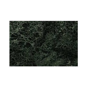 Woodland Scenics - Lichen - Dark Green
