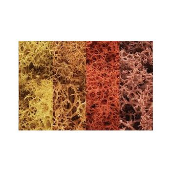 Woodland Scenics - Lichen - Autumn Mix