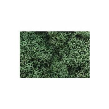 Woodland Scenics - Lichen - Light Green (large bag)
