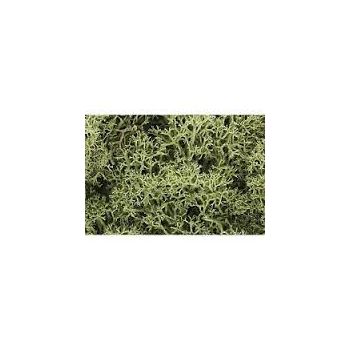 Woodland Scenics - Lichen - Spring Green