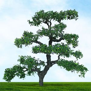 All Scale Scenics - 70519 Beech Tree - HO Scale