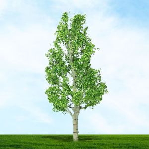 All Scale Scenics - 70526 Birch Tree - HO Scale