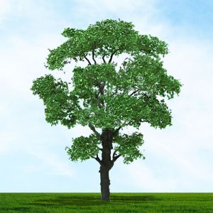 All Scale Scenics - 70522 Chestnut Tree - HO Scale