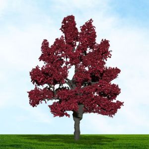 All Scale Scenics - 70510 Copper Beech Tree - HO Scale