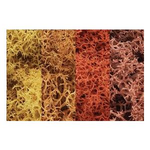 Woodland Scenics - Lichen - Autumn Mix
