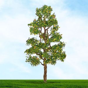All Scale Scenics - 70512 Downy Birch Tree - HO Scale