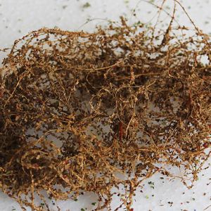 All Scale Scenics - 70026 Dried Vines
