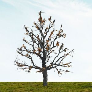 All Scale Scenics - 70523 Dry Tree - HO Scale