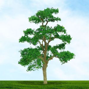 All Scale Scenics - 70516 Elm Tree - HO Scale