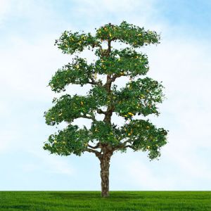 All Scale Scenics - 70413 European Plane Tree - N Scale