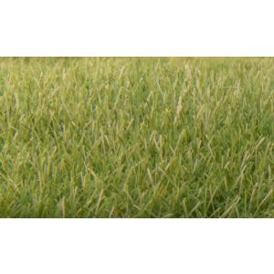 Woodland Scenics - FS622 Static Grass Medium Green 7mm