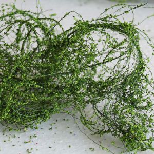 All Scale Scenics - 70024 Green Climbing Vines