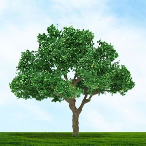 All Scale Scenics - 70402 Green Jacaranda - N Scale