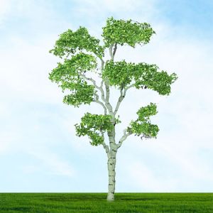 All Scale Scenics - 70506 Gum Tree - HO Scale