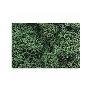 Woodland Scenics - Lichen - Light Green