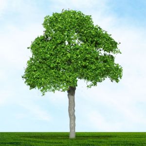 All Scale Scenics - 70401 Round Head Tree - N Scale
