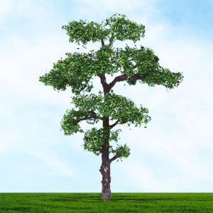 All Scale Scenics - 70524 Scots Pine Tree - HO Scale