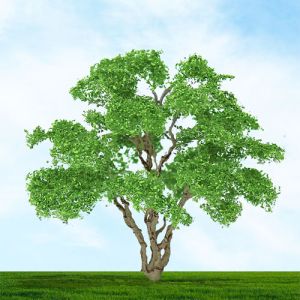 All Scale Scenics - 70317 Snow Gum Tree - Z Scale