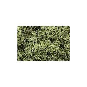 Woodland Scenics - Lichen - Spring Green